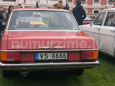 Numurs VS-6666