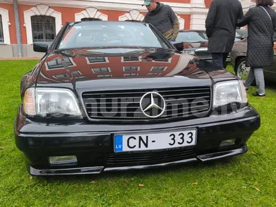Numurs CN-333