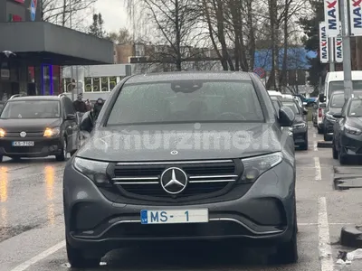 Numurs MS-1