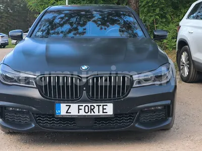 Numurs Z FORTE