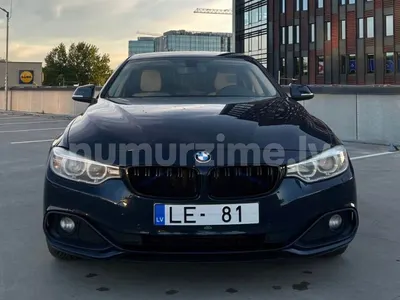 Numurs LE-81